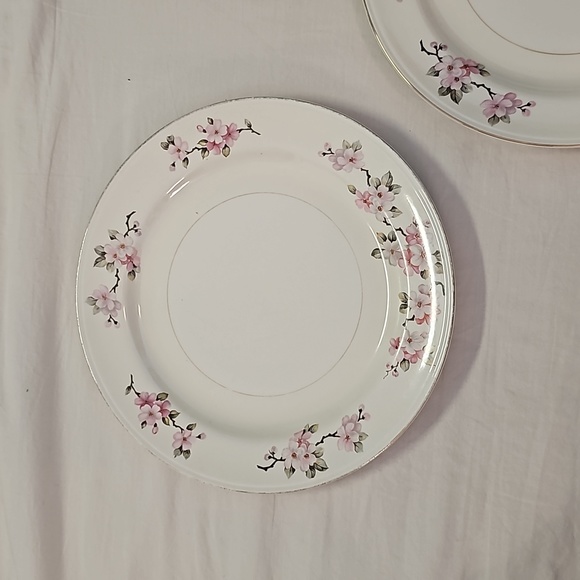 1950s Homer Laughlin Eggshell Nautilus plates cherry blossom pattern (2) - Picture 5 of 7